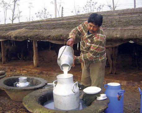 Chitwan becomes self-sufficient in milk