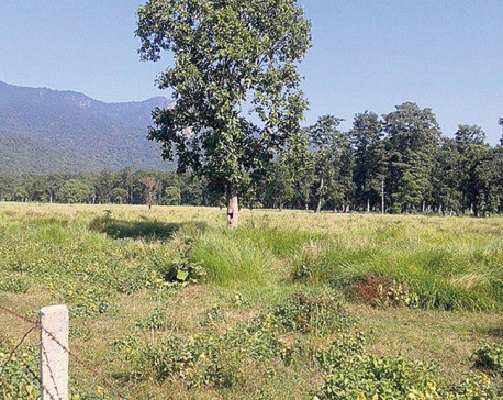 Kailali industrial estate project in limbo