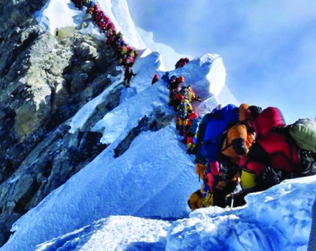 Five-member govt panel probing climber deaths