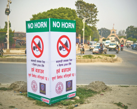 Over 41k offenders booked for honking in Valley since mid-April 2017