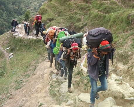 Yarsa pickers death toll in Dolpa rises to eight