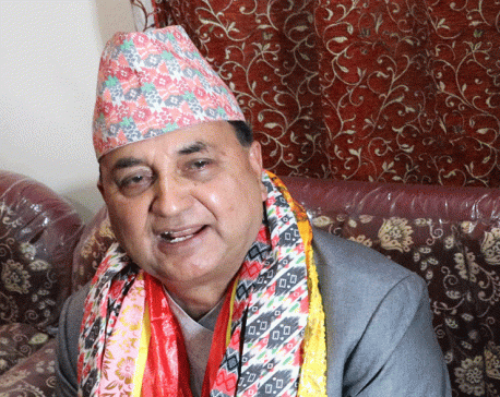 Army mobilization to be made by decision of security council: DPM Pokhrel