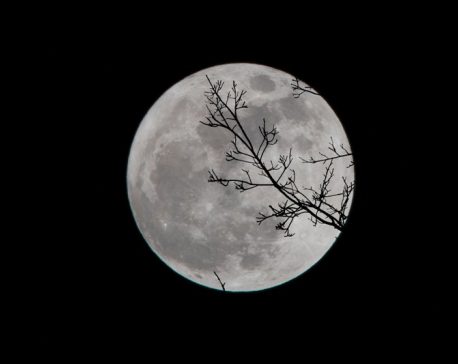Eternity of Moonlight: Worship to the serene moon
