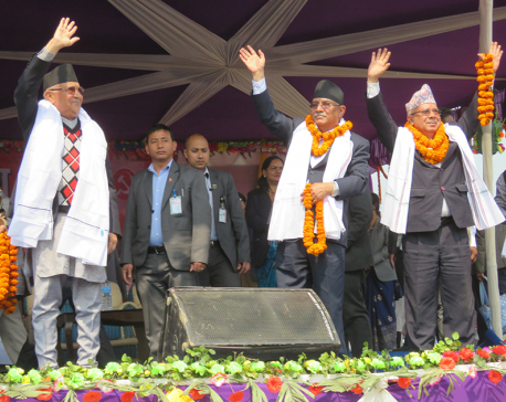 Will leave no stone unturned for dev of Madhes: Heavyweights