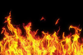 Three killed in forest fire in Salyan