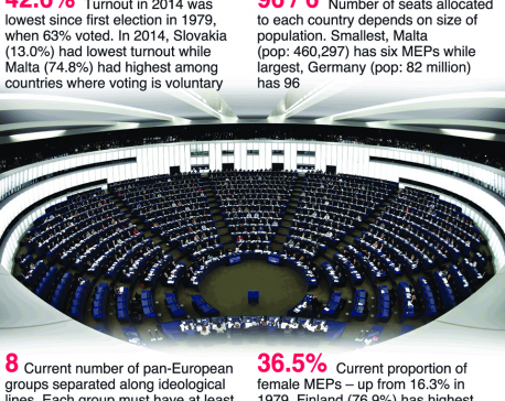 Infographics: European elections by numbers