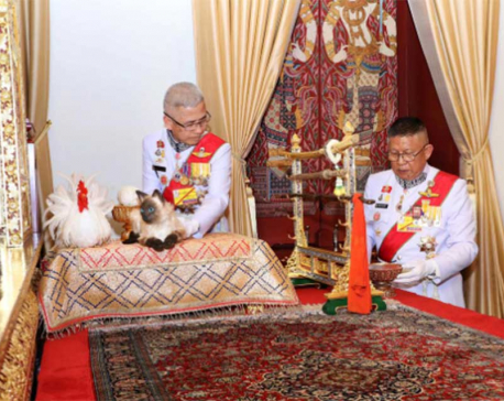 Fake mews? Confusion over cat at Thai king's coronation ceremony