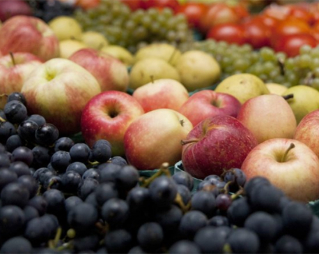 Less fat, more fruit may cut risk of dying of breast cancer