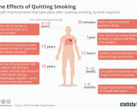 Infographics: The Effects of Quitting Smoking