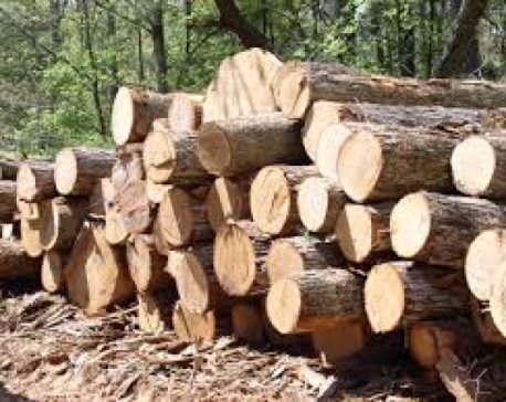 TCN distributes 90,000 cubic feet timber for house reconstruction
