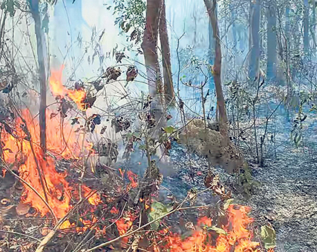 Four days on, wildfire continues to spread in Pyuthan forests