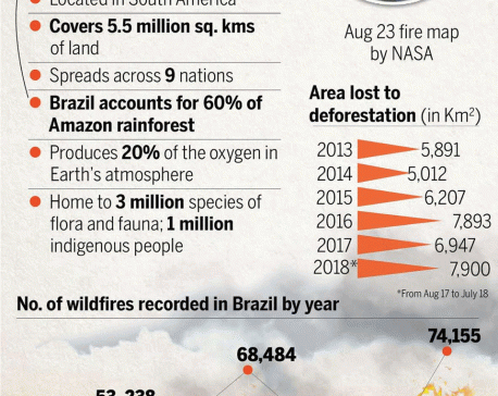 World's largest rainforest is burning