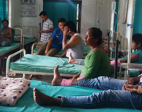 Snakebite patients in eastern Nepal dying due to lack of timely treatment