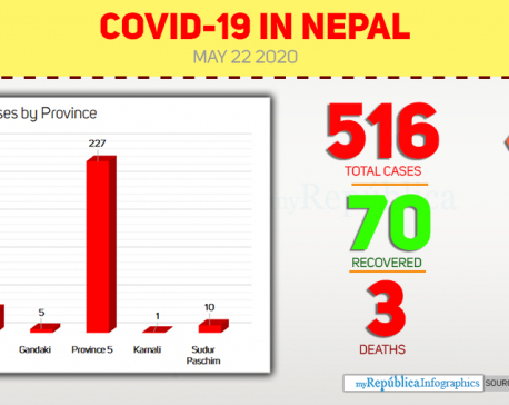 Nine more contract COVID-19, national tally hits 516