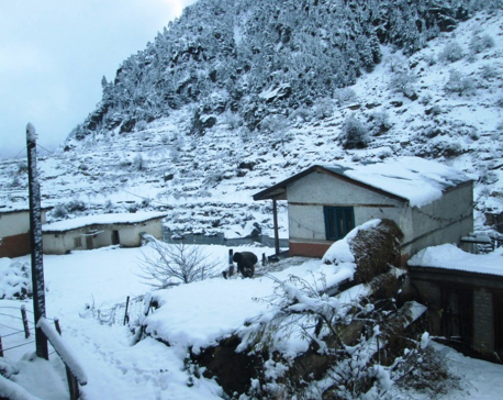 Karnali witnesses heavy snowfall (with photos)