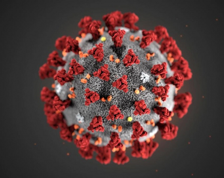 What do we know about the new coronavirus?