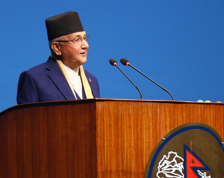Government is moving on towards year of achievement: PM Oli