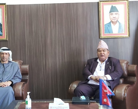 Minister Shrestha to go to UAE for management of Nepalis stranded there