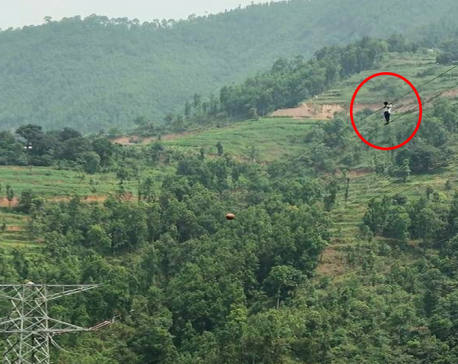 NEA incurs Rs six million loss as mentally unstable man climbs on overhead high tension electrical lines