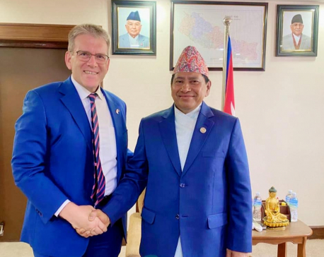 US envoy pays courtesy call on DPM Shrestha, discusses peace process