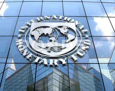 IMF says world economy resilient to shocks but 'limping'