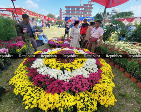 IN PICTURES: 15th Godawari Flower Exhibition begins