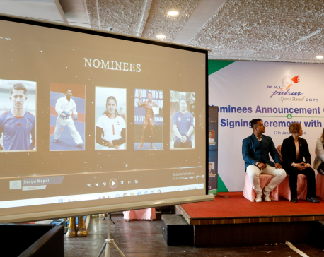 Nominations announced for Pulsar Sports Awards