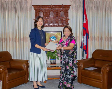 UNDP's new Resident Representative presents Letter of Credence to FM Deuba