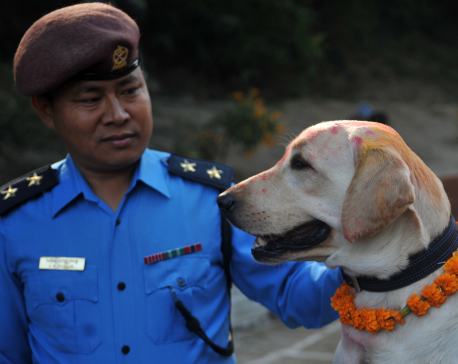 Nepal Police offers retired dogs for adoption to the public