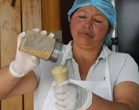 Cone or scoop: Guinea pig ice cream for sale in Ecuador