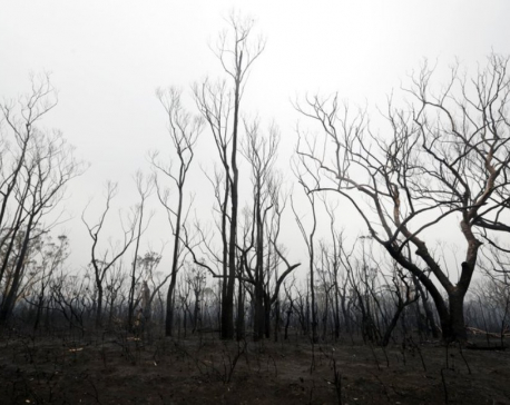 Australia commits billions of dollars to wildfire recovery