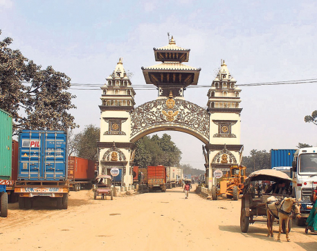 Birgunj transit sees 73 percent rise in exports to third countries in 11 months
