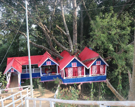 Tree houses become a new tourism trend in Province 1