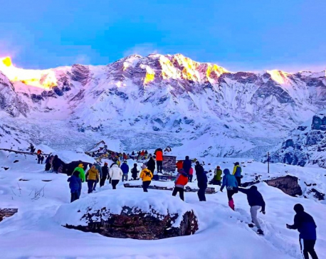 As footpaths shrink, Annapurna trek duration plummets from 28 to 5 days