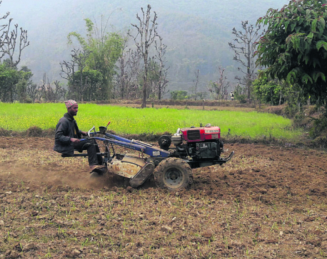 Farmers in Kaski prefer using hand tractors