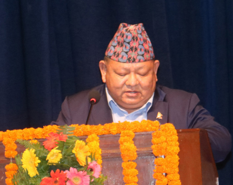 We will bring back the idols of Nepal that have reached London and Paris: Minister Ale