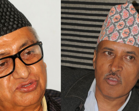 House panel approves Upadhyay, Paudel as envoys to India, China