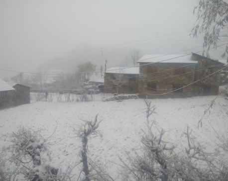 Snowfall cripples people's daily life in Humla, Jajarkot