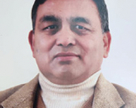 Former Sebon chairman Babu Ram Shrestha no more
