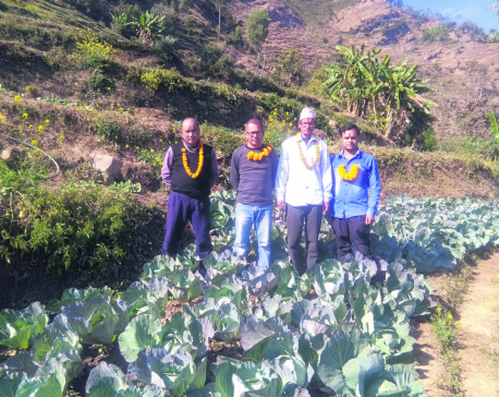 Ex-Maoist combatant now a successful vegetable farmer
