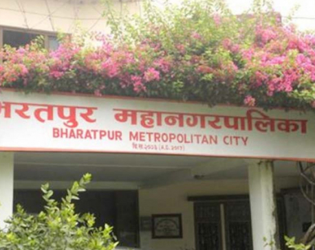 BMC allocates Rs 50 million for promotion of greenery