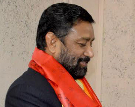 Election date postponed in agreement with RJPN: Nidhi