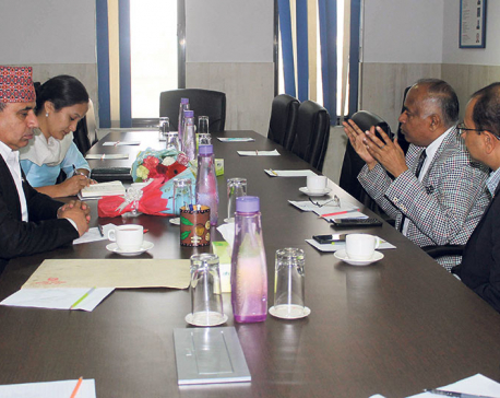 CNI asks ambassadors to focus on economic cooperation