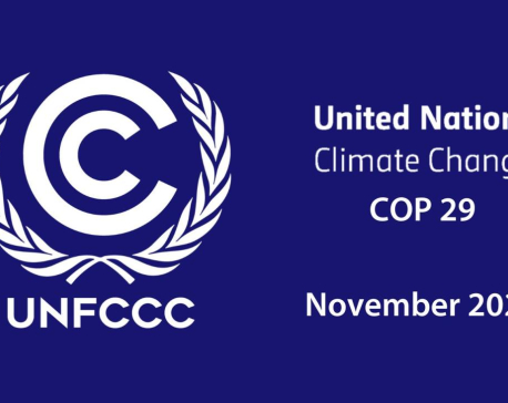 Parliamentary committee instructs govt authorities to accelerate preparation for COP-29