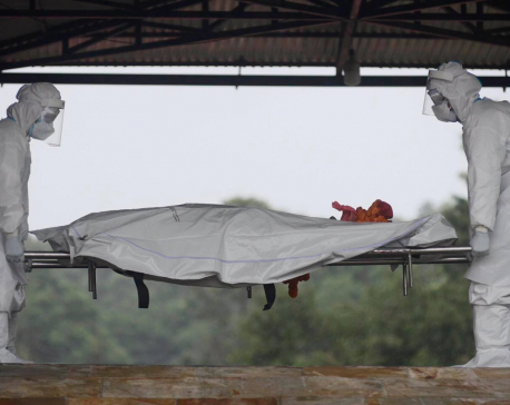 Three more COVID infected die in Chitwan