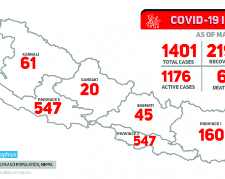 With 189 more people testing positive for coronavirus, Nepal's COVID-19 tally soars to 1401