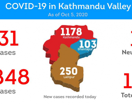 12 COVID-19 patients died in Kathmandu Valley on Monday