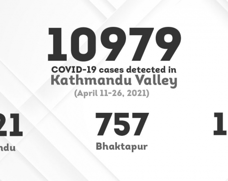 Infographics: COVID-19 infection rate in Kathmandu Valley in the past two week weeks