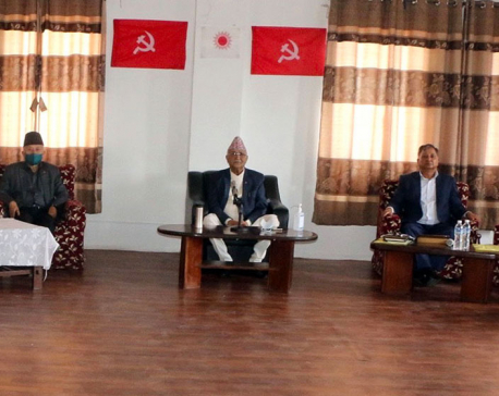Nine groups formed to discuss Chairman Oli's political report