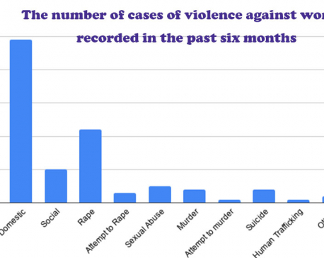 As many as 1,673 cases of violence against women recorded in the past six months